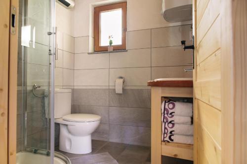 博希尼Holiday house Jereka -Bohinj的一间带卫生间和玻璃淋浴间的浴室