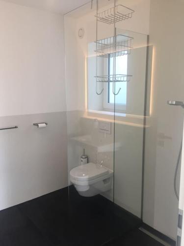 KleinweilStudio mit Alpenblick的白色的浴室设有卫生间和窗户。