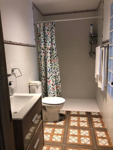 麦地那西多尼亚Alojamiento Rural El Soldao的一间带卫生间和淋浴帘的浴室