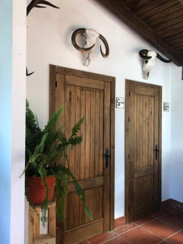 麦地那西多尼亚Alojamiento Rural El Soldao的植物间里两扇木门