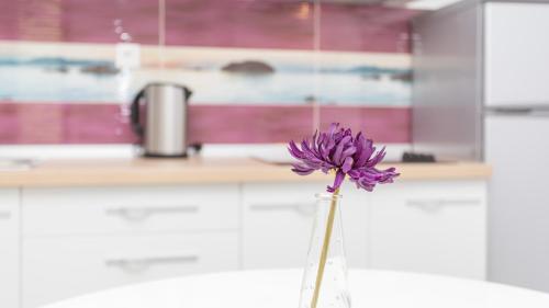 巴斯卡Apartmani Memories I的厨房里花瓶里的紫色花