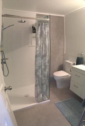 旺阿雷Beach Lane Apartment的带淋浴和卫生间的浴室