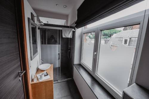 迪南考特萨克斯住宿加早餐旅馆的一间带水槽和窗户的小浴室