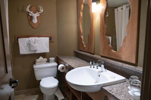 班夫班夫驯鹿住宿温泉酒店的浴室配有白色卫生间和盥洗盆。