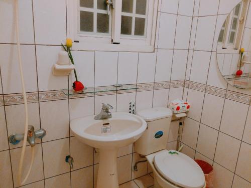古坑丰胜家园民宿的一间带卫生间和水槽的小浴室