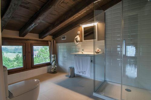 奥尼亚特托雷祖迈泰利酒店的带淋浴、卫生间和盥洗盆的浴室