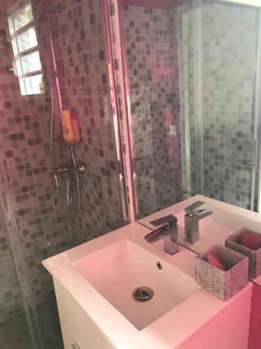 圣安尼BUNGALOW LOLOTTE ET DOM的浴室配有盥洗盆和带镜子的淋浴