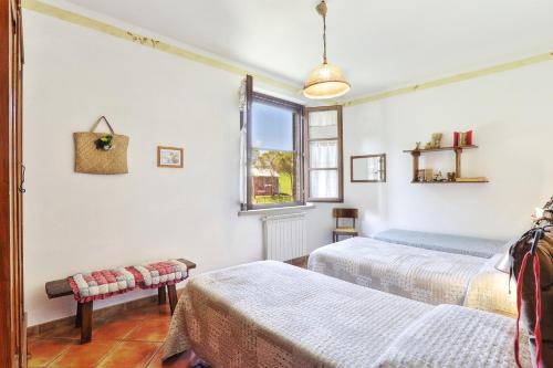 波马兰切Appartamento Spiga - Agriturismo Le Selvole的一间卧室设有两张床和窗户。