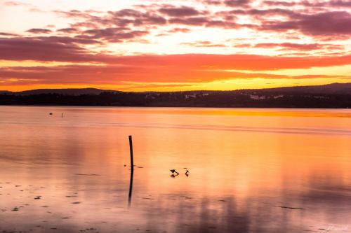 福斯·杜·阿勒奥Sunshine Hostel的湖上日落,两只鸭子在水中