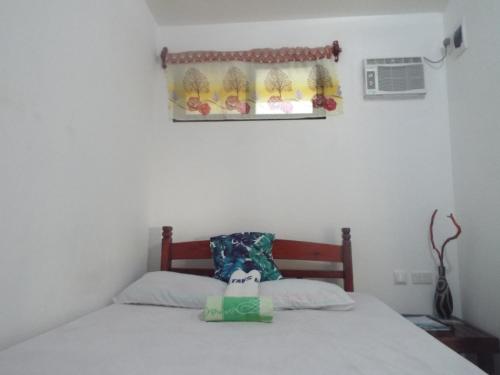 Sablayan古斯塔夫广场银滩潜水度假酒店的一间卧室设有一张床和一个窗口