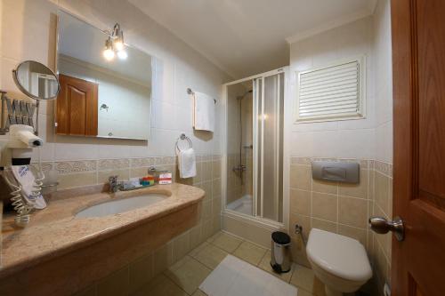 戈西克迪姆先生特别公寓酒店的一间带水槽、卫生间和镜子的浴室
