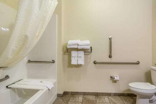 奇珀瓦福尔斯Cobblestone Hotel & Suites - Chippewa Falls的浴室配有卫生间、浴缸和毛巾。