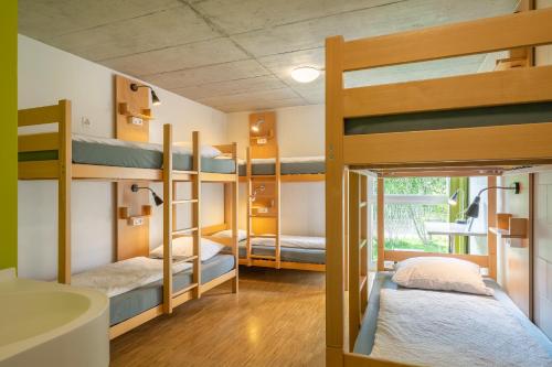 因特拉肯尚恩霍夫背包客别墅酒店 - 因特拉肯旅馆的带三张双层床和一间浴室的客房