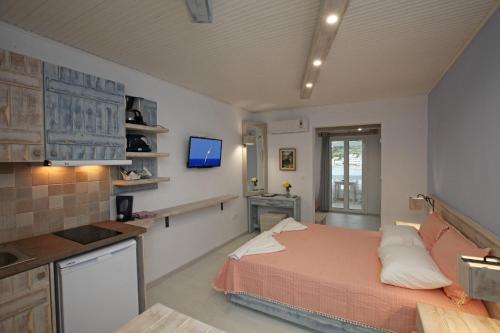 巴特斯欧贝拉维斯塔公寓式酒店的一间卧室配有一张床,厨房配有电视