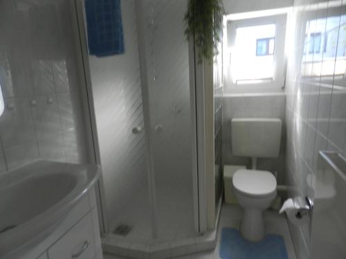 格拉尔-米里茨Bungalow的带淋浴、卫生间和盥洗盆的浴室