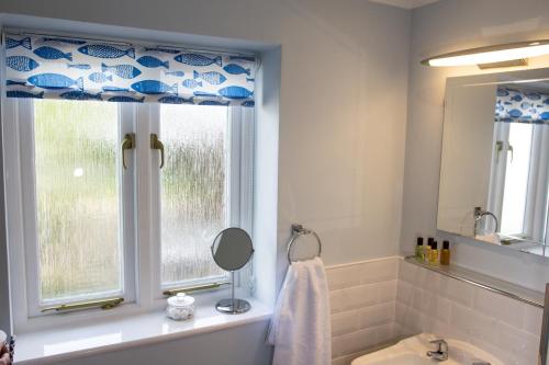 沙夫茨伯里Shaftesbury Modern Annexe的一间带水槽和窗户的浴室