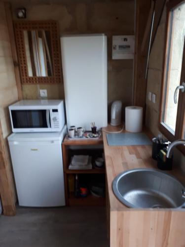 阿宰勒里多Centre équestre d'Azay le Rideau的一间带水槽和微波炉的小厨房