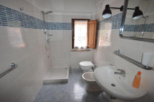 Molino del PalloneIl cedro的一间带水槽、卫生间和淋浴的浴室