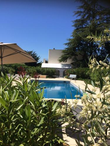 滨海阿热莱斯Villa Côte Vermeille的一个带遮阳伞和一些植物的游泳池