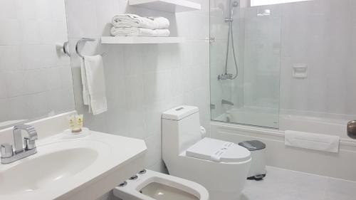 利马圣马丁公寓酒店的白色的浴室设有卫生间和水槽。