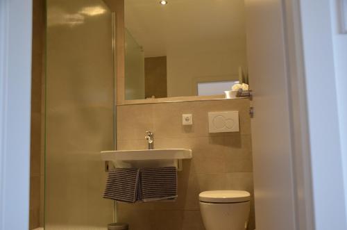 于尔齐希Weingut Erbes-Henn的一间带水槽、卫生间和镜子的浴室