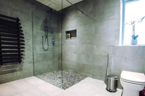 基拉尼The Beeches的浴室设有玻璃淋浴间和卫生间