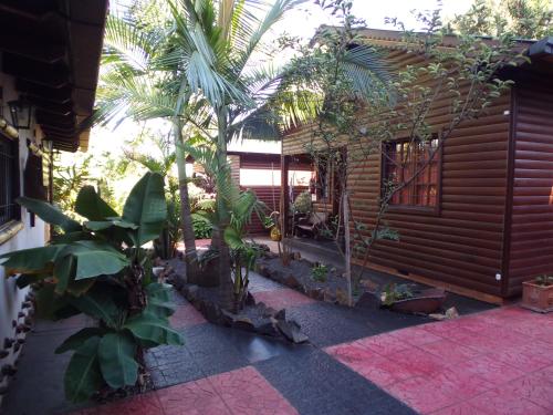 伊瓜苏港Si Mi Capitán - Cabañas & Habitaciones的一座带树木和植物的庭院的房子