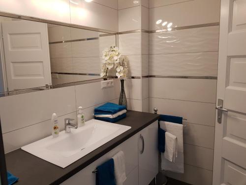 根尼斯迪亚斯Margareta Home的一间带水槽和镜子的浴室