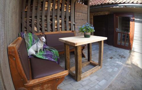 文茨皮尔斯Ventspils Garden house的坐在桌子旁椅子上的狗