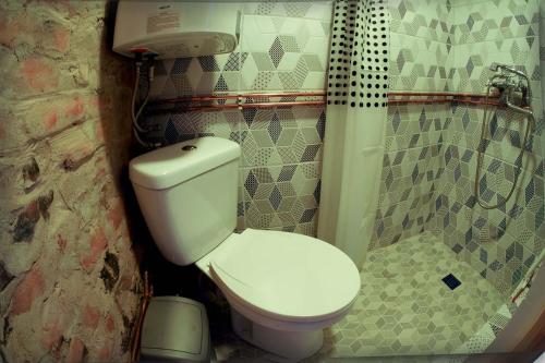 文茨皮尔斯Ventspils Garden house的一间带卫生间和淋浴的小浴室