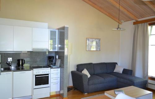 伊马特拉Saimaa Style Spa Chalet的带沙发的客厅和厨房