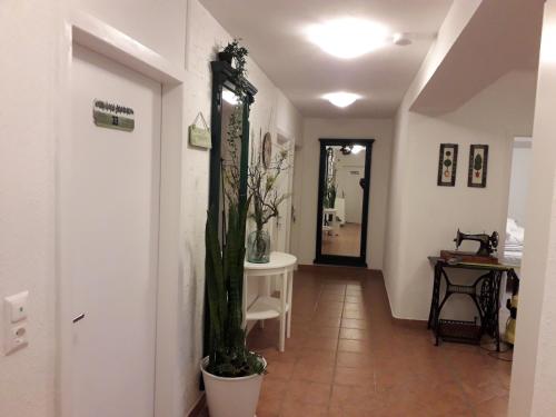 科灵福斯亨德林膳食公寓酒店的走廊里,房间中间有植物