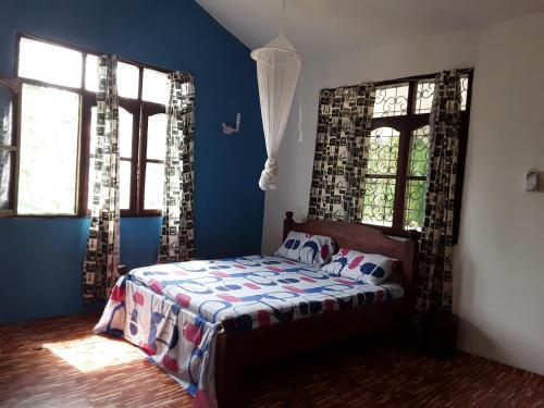 蒙巴萨Akogo House - Hostel and Backpackers的一间卧室配有一张蓝色墙壁和窗户的床