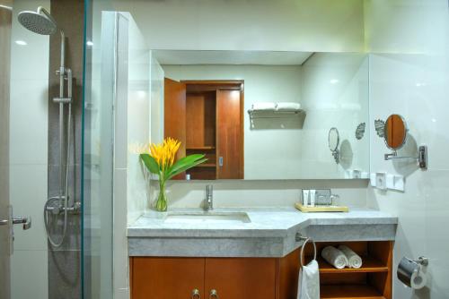 三宝垄Oak Tree Emerald Semarang的一间带水槽和镜子的浴室