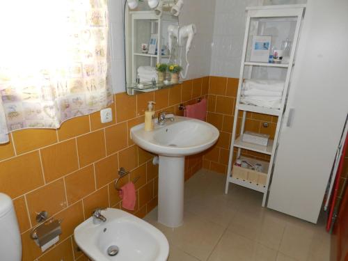 埃尔泰勒罗Trotamundos GC FAMILIAS Y ADULTOS RESPONSABLES的一间带水槽和卫生间的小浴室