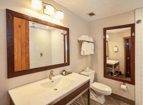 Beaver BayCove Point Lodge的一间带水槽、卫生间和镜子的浴室