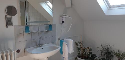 Logis hôtel LE COR D'ARGENT的一间浴室
