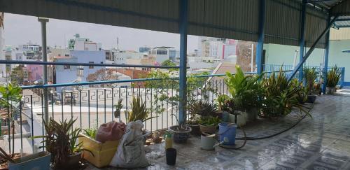 龙川市Nhà Trọ Kim Ánh的阳台种有植物,享有城市美景