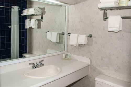 大瀑布Rodeway Inn的一间带水槽、镜子和卫生间的浴室