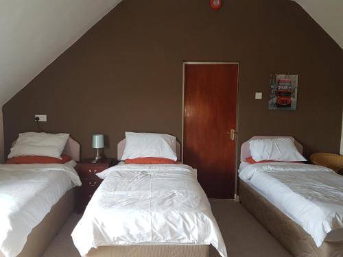 GarvaghGortin Glen Guest House的一间卧室设有两张单人床和一扇门