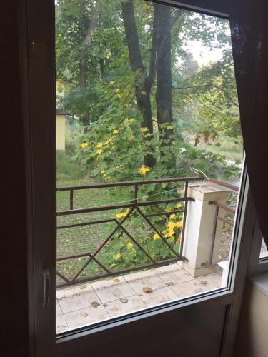 敖德萨Гостевой дом писателей的开放式门,透过窗户可欣赏到花园美景
