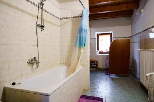 Malé ChlievanyChalupa Karol的设有带浴缸和淋浴的浴室。