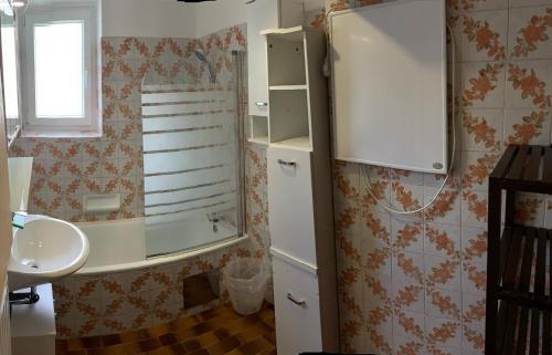 雷丹尼茨恩Ferienhaus Rafaela mit Privatstrand的一间带水槽和白色冰箱的浴室
