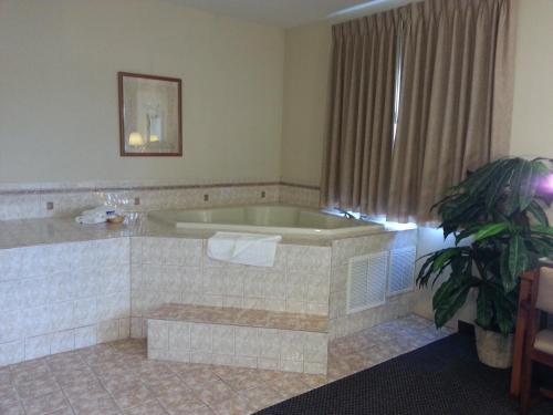 Westmorland威斯特摩兰美国最有价值旅馆的浴缸位于酒店客房内,种植植物