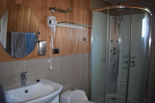 卡斯特鲁Cabañas Vista Tranquila Chiloé的带淋浴、盥洗盆和镜子的浴室