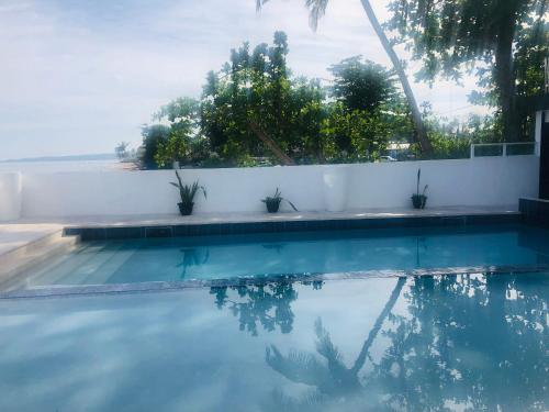 阿瓜达哥伦布酒店的水中植物的游泳池