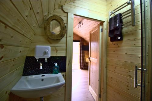 金洛赫利文Coe Pod, West Highland Way Holidays的一间带水槽和镜子的浴室