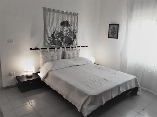 梅萨涅Tenuta Argiano的黑白卧室设有床和窗户