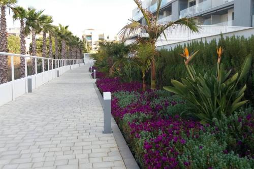 托罗克斯apartamento en primera linea de playa的一条布满紫色花的走道,毗邻一座建筑