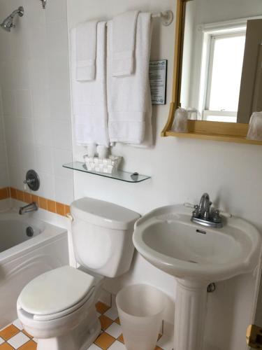 布罗姆湖AUBERGE Knowlton的白色的浴室设有卫生间和水槽。